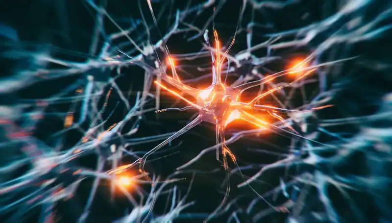 Alzheimer Vakalarındaki Artış: Nedenleri ve Gelecekteki Tahminler