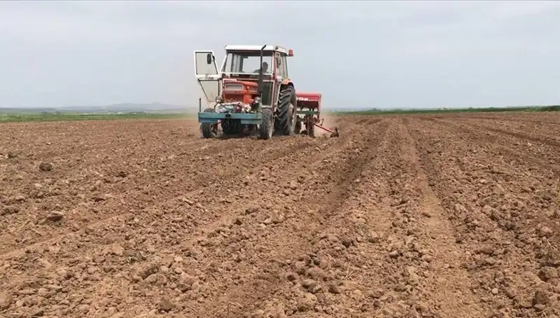 Son 35 Yılın En Kurak Mart Ayı: Yağışlar Rekor Oranda Düştü!