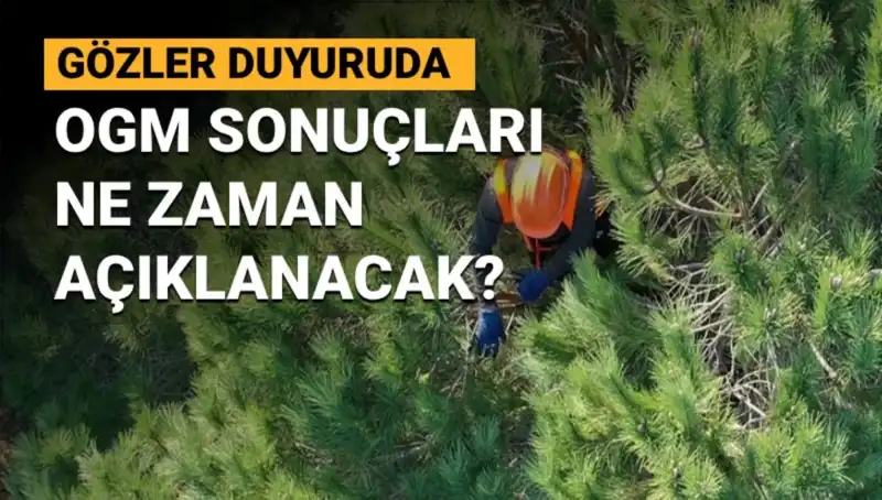 OGM Personel Alımı Sonuçları Bekleniyor: 3 Bin 477 Adayın Gözleri Oyuncak Çerçevesinde