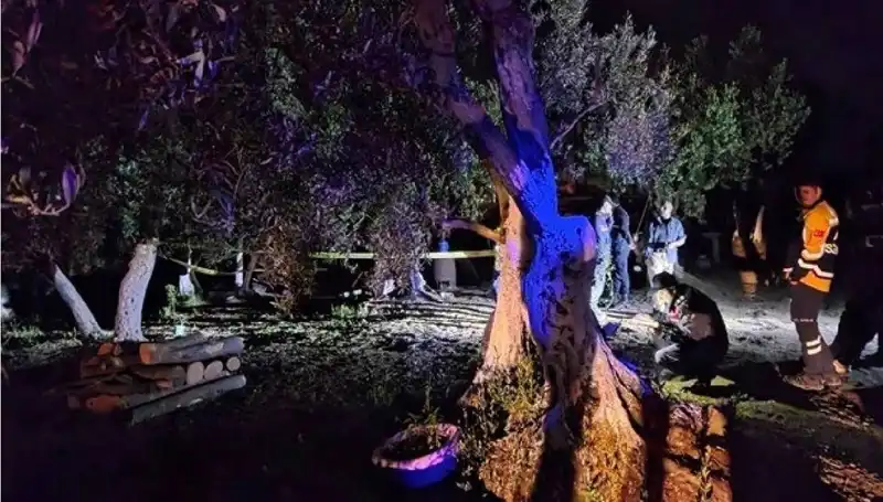 Çiftlikteki Baltalı Vahşete Şok Tutuklama! Olayın Perde Arkası Ortaya Çıktı