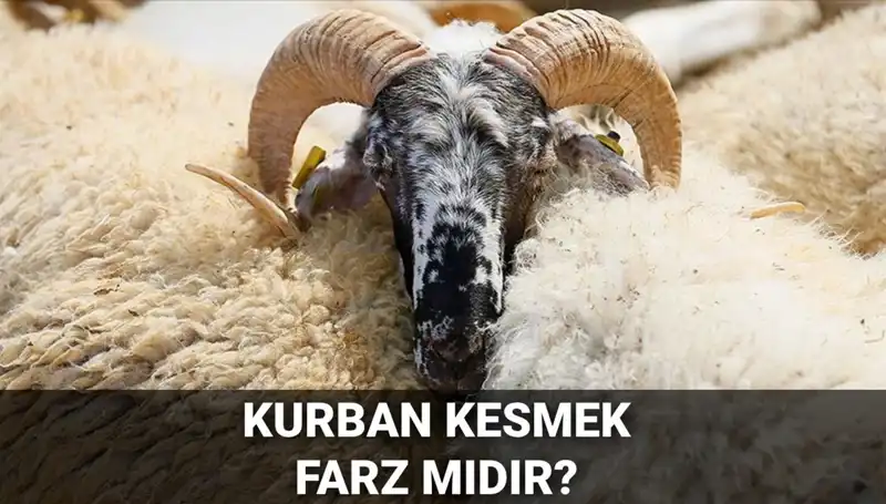 Kurban Kesmek Farz mı? Diyanet'in Görüşüne Göre Şartları Neler?