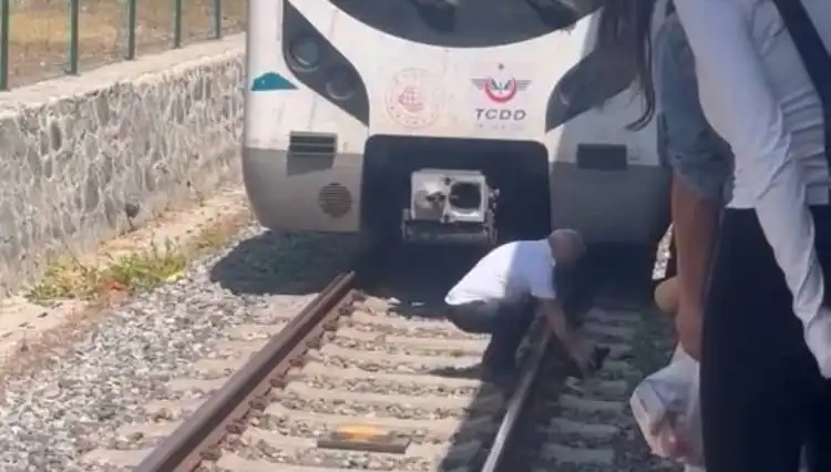 Marmaray’ı Durduran Makinist: Raylarda Kediyi Fark Edince Ne Yaptı?