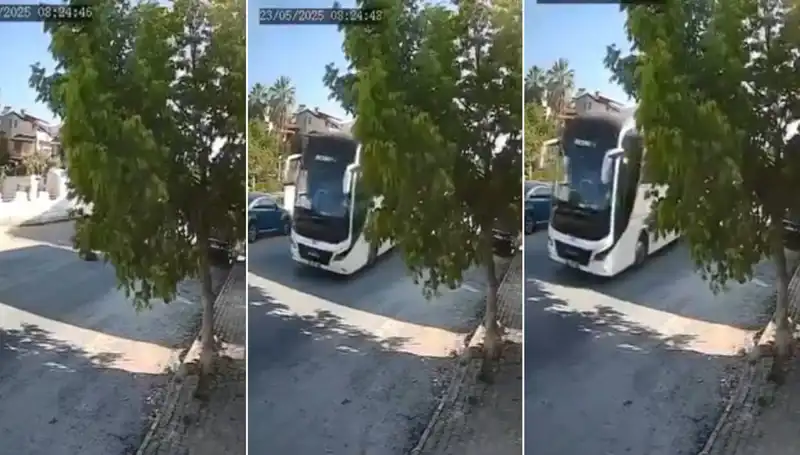 Yolda Yatan Köpeği Ezip Geçen Aracın Sürücüsüne Vahşet Tepkisi