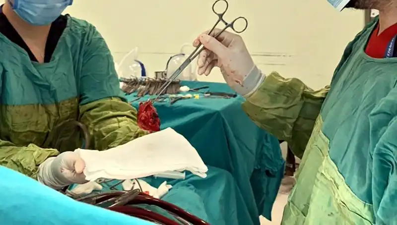 Kalp Kapağı Çürüyen Hastaya 7 Saatlik Hayat Kurtarma Ameliyatı