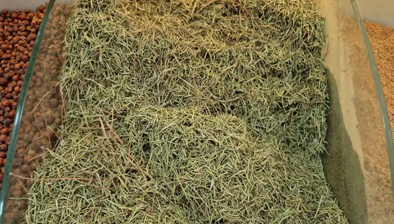 Yaz Aylarında İnternette Satılan Ürünler: Ölüme Davet Eden Alışveriş