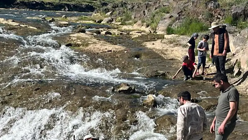 İnci Kefalinin Büyüleyici Göçü: Turistler Üzerine Çekiyor
