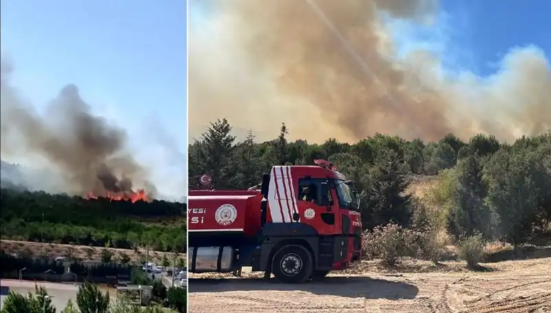 Gebze'de Korkutan Orman Yangını: Geniş Alanı Kapsayan Yangın Kontrol Altına Alındı