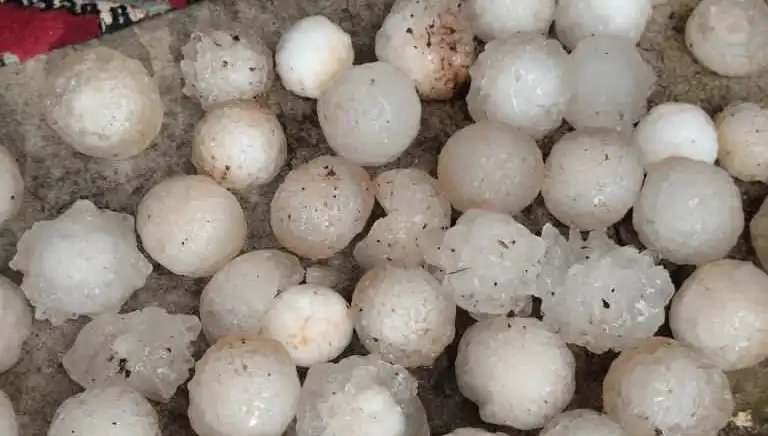Şanlıurfa’da Beklenmedik Hava Olayı: Kar Topu Büyüklüğünde Dolu Yağışı