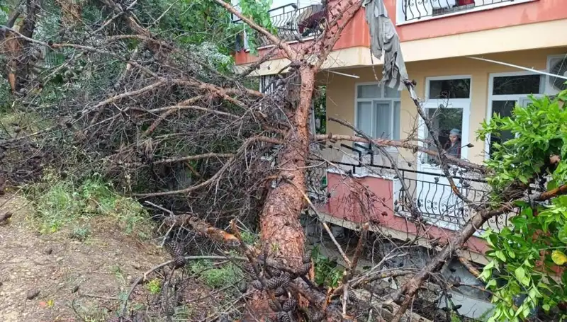 Yağmurlar Sonrası Bina Çöktü: Mahallede Panik Hüküm Sürdü!