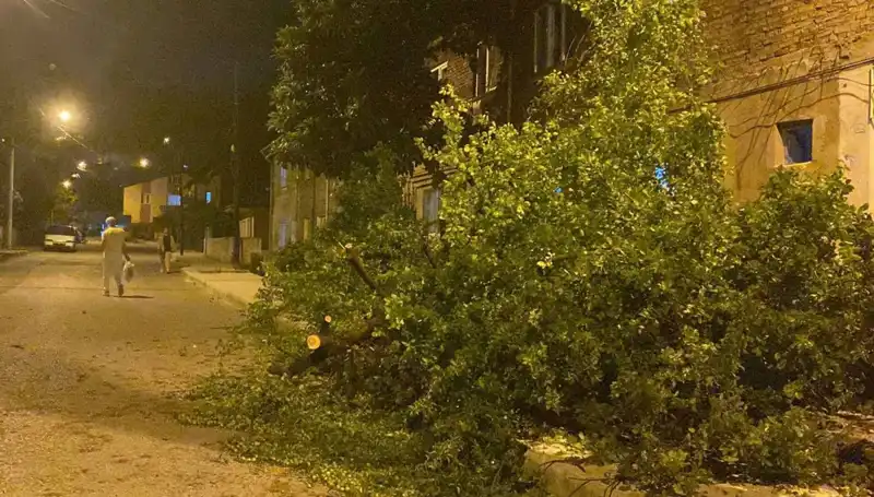 Karabük'te Şiddetli Fırtına: Zarar ve Etkiler Tüm Şehri Sarsacak