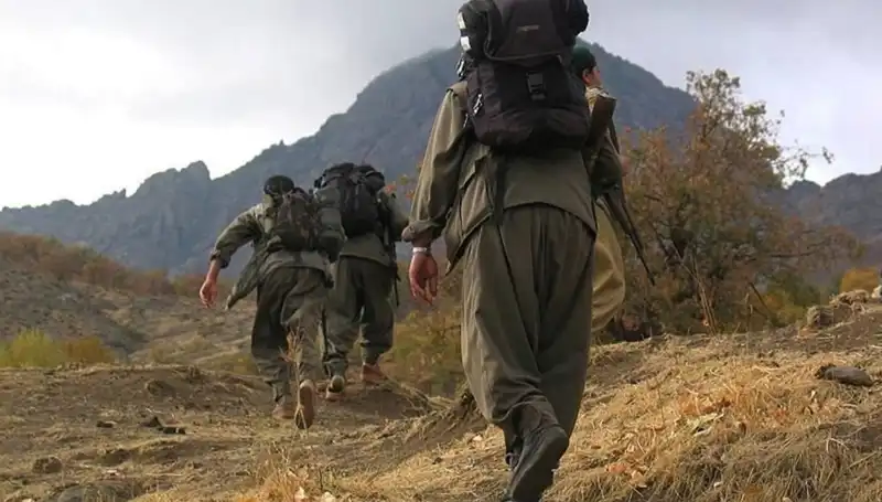 Öcalan'ın Görüntülü Mesajı Kandil'e Ulaşacak: Terörsüz Türkiye İçin Kritik 48 Saat