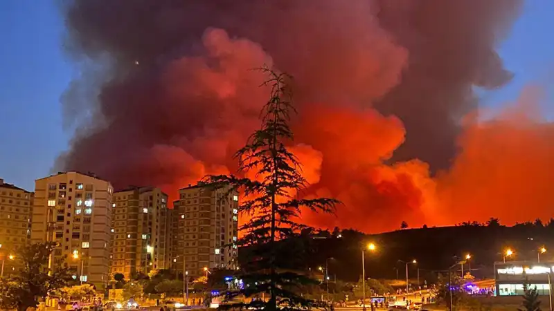 Bursa'da Yangınlar Kenti Sarmaladı: Tüm Gözler İtfaiye Ekiplerinde
