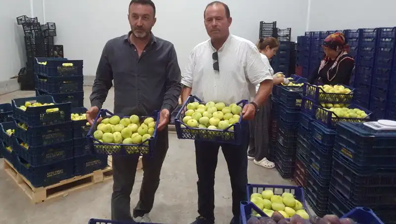 Mersinli Çiftçinin Yüzünü Güldüren Tarım Ürünü: İhracat Fiyatları 20 TL