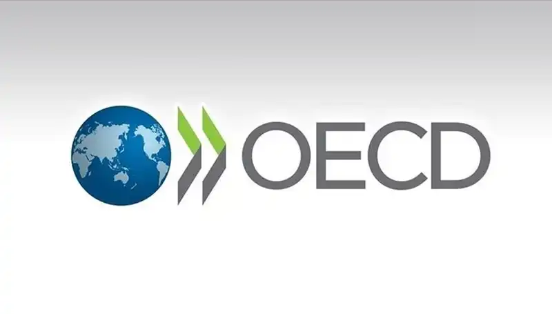 OECD, Türkiye’nin Ekonomik Büyüme Tahminini Yeniden Belirledi