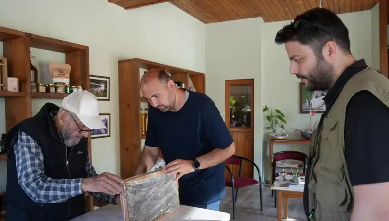 İki Yüzlü Mucize: 1 Çay Kaşığı ile Sağlık ve Tehlike